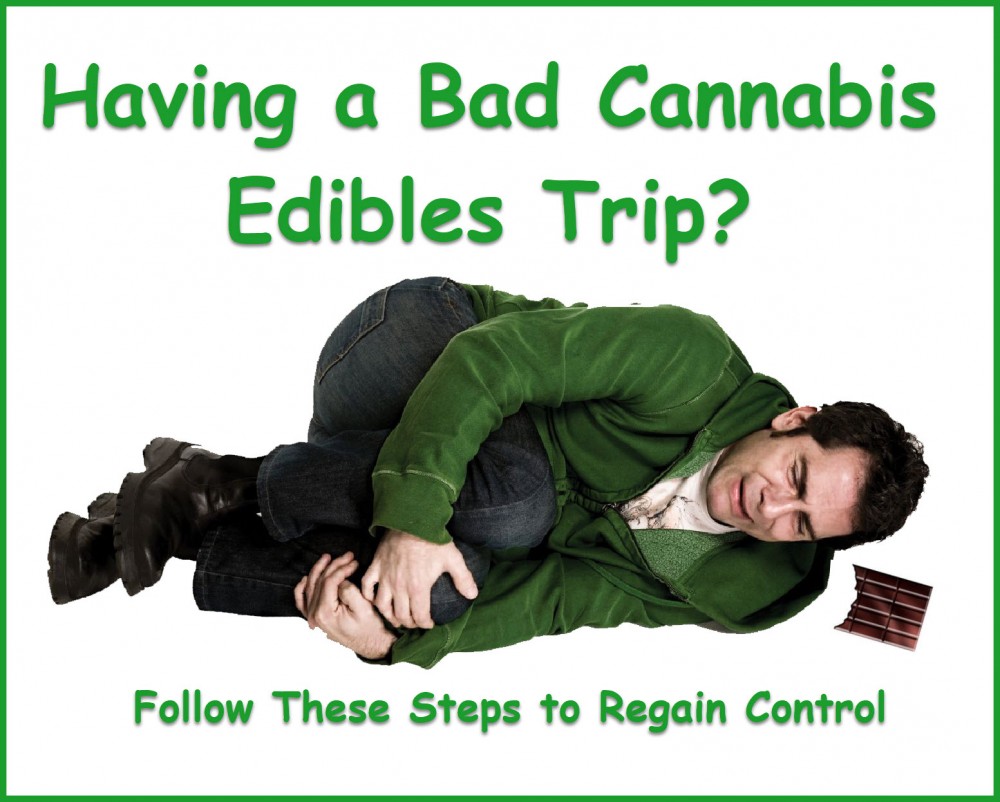 BAD EDIBLES TRIP WHAT TO DO